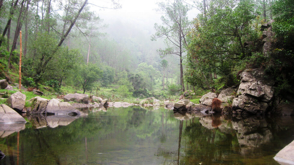 nature stream at kangojodi