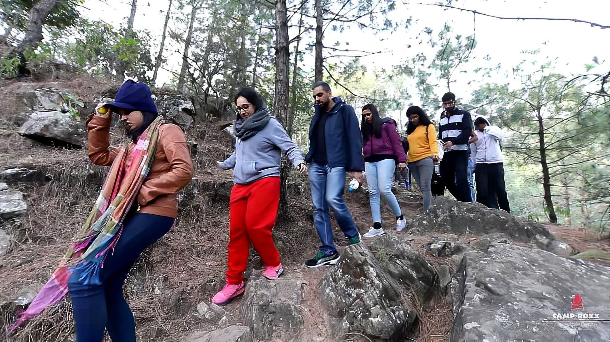 Walking trail through pine forest to Camp Roxx — nature experience for families