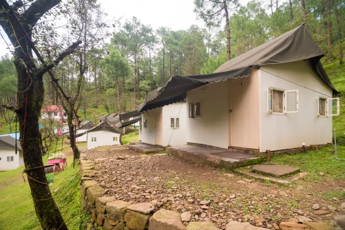 Adventure camping at Camp Roxx — family-friendly campsite in Sirmaur pine forest