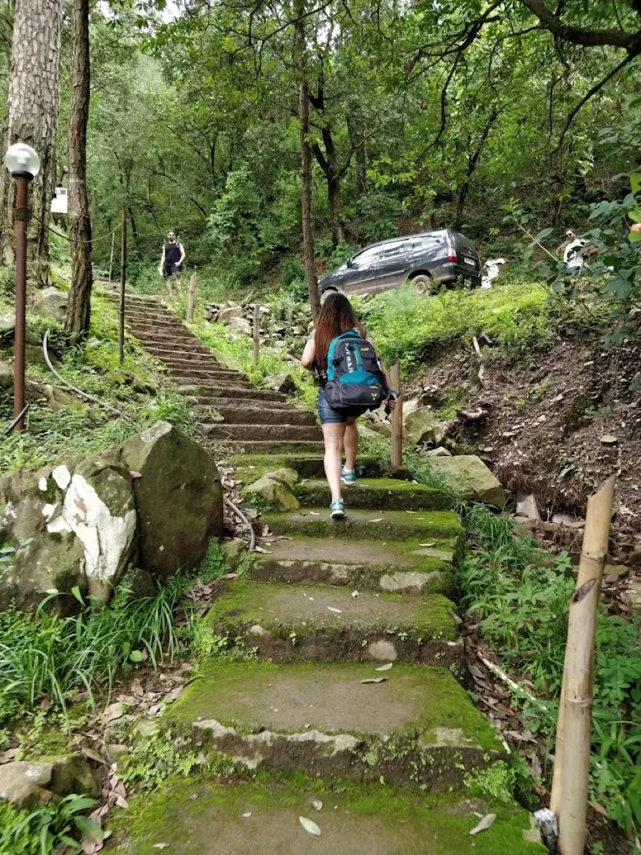 Trekking through pine forest near Nahan — Camp Roxx