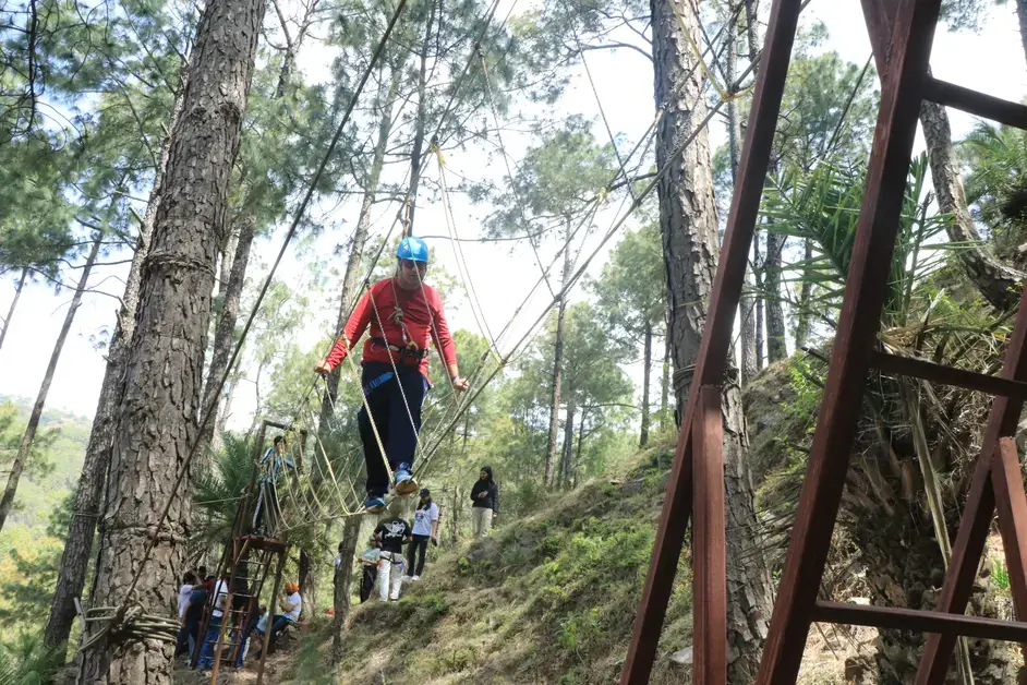 Burma Bridge adventure activity at Camp Roxx